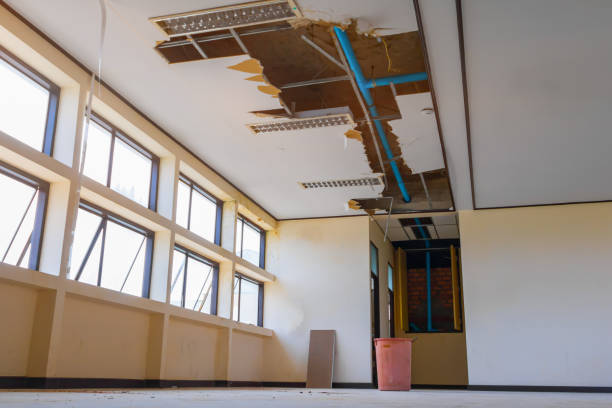Best Local water damage restoration  in Parsippany, NJ