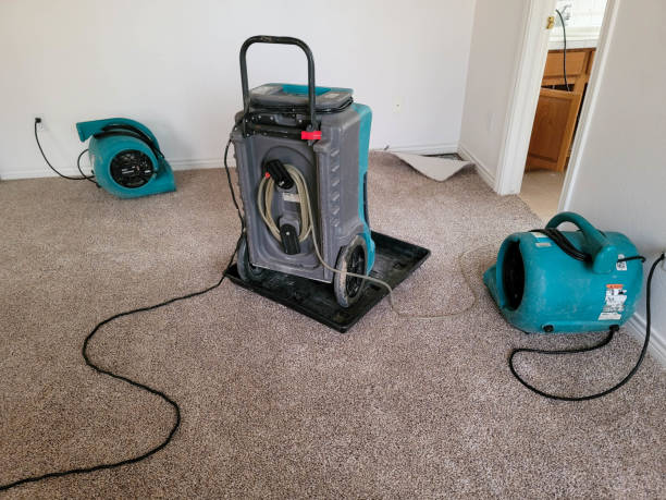 Best Basement water damage restoration  in Parsippany, NJ