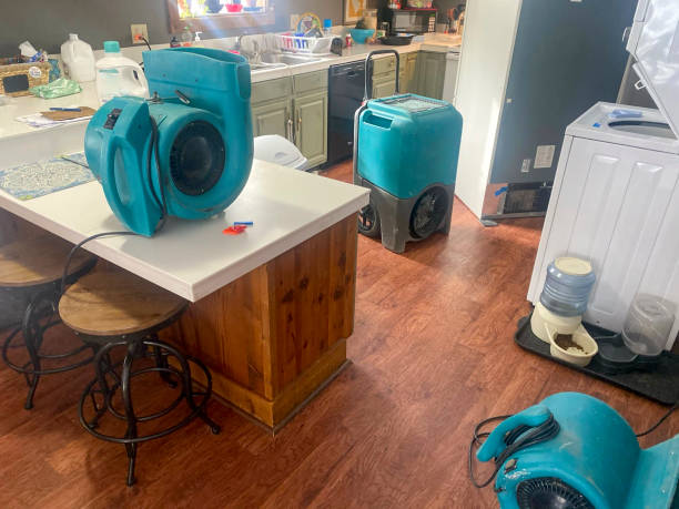 Best Residential water damage restoration  in Parsippany, NJ