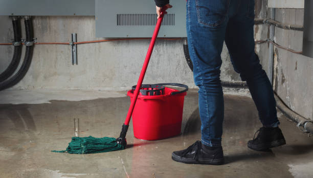 Best Water damage contractors near me  in Parsippany, NJ