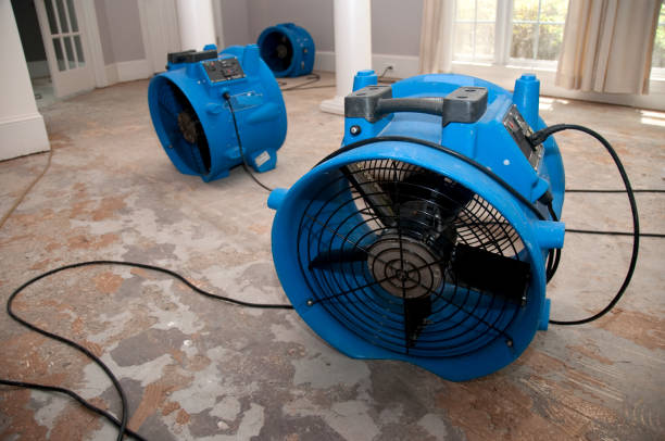 Best Basement water damage restoration  in Parsippany, NJ