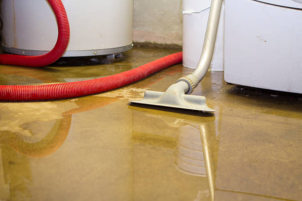 Best Water damage cleanup near me  in Parsippany, NJ