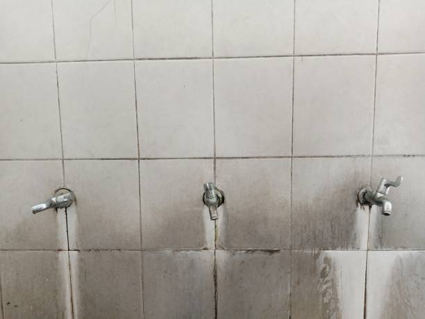 Best Carpet water damage restoration  in Parsippany, NJ