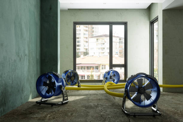 Best Water damage cleanup near me  in Parsippany, NJ