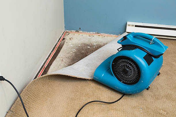 Best Ceiling water damage repair  in Parsippany, NJ